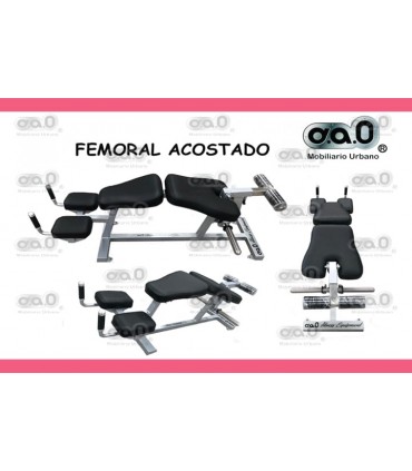 Curl de Pierna Modelo DAGI-14