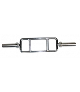 BARRA ROMANA OLÍMPICA PROFESIONAL CON BUJES DE BRONCE.  BGYM09