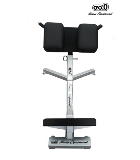 Banco Hiperextensiones Profesional Gym/gimnasio D'a0