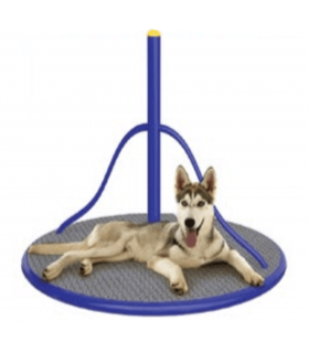 SETDOG CARROUSEL