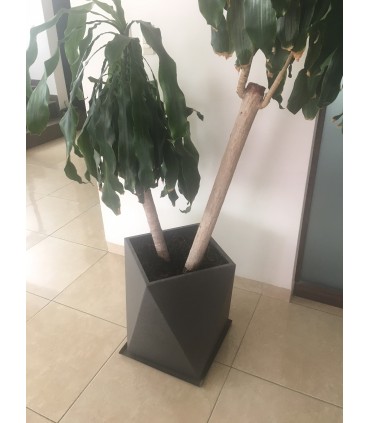 Macetas Diseño Minimalistas 3D