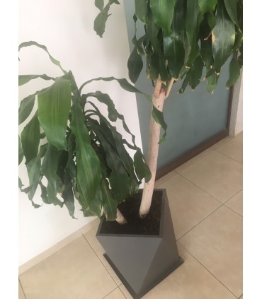 Macetas Diseño Minimalistas 3D